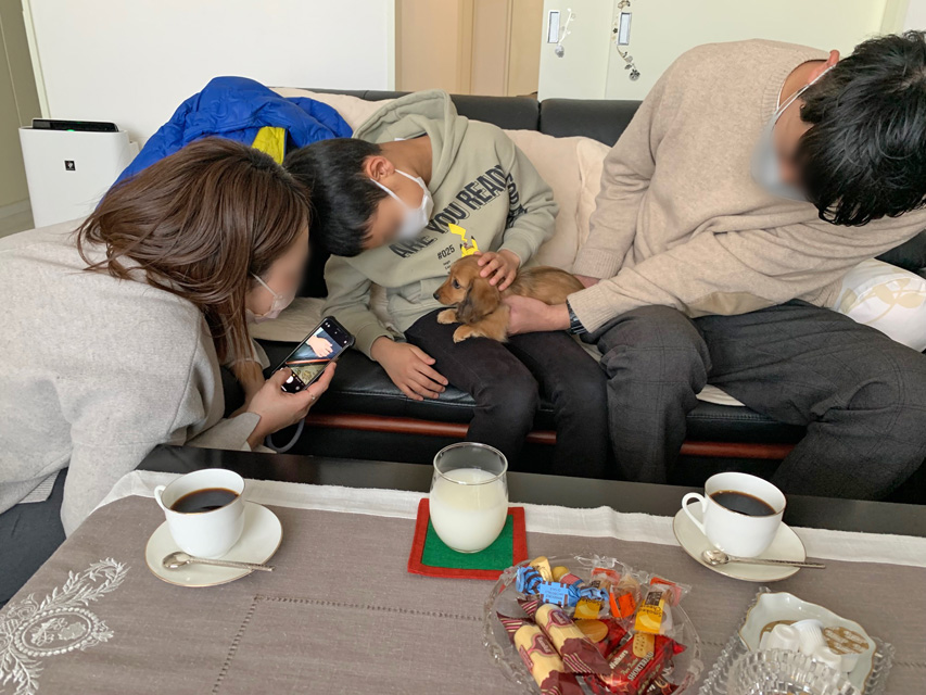 ダックスフンド 子犬ご見学会 ㏌ 東京Kaninchen_Dachshund_535 ダックスフンド 子犬ご見学会 ㏌ 東京