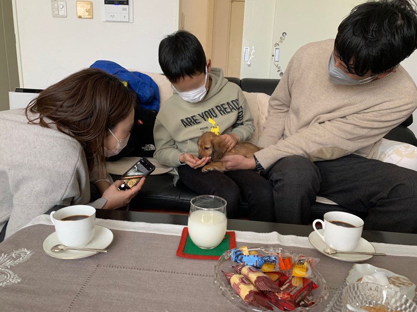 ダックスフンド 子犬ご見学会 ㏌ 東京Kaninchen_Dachshund_536 ダックスフンド 子犬ご見学会 ㏌ 東京