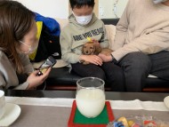 Kaninchen_Dachshund_537