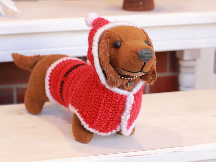 カニンヘンダックスフンド カメオ & ボノの子犬 イエロー 男の子Kaninchen_Dachshund_8152 カニンヘンダックスフンド カメオ & ボノの子犬 イエロー 男の子