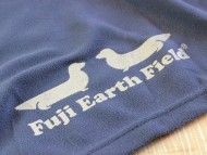 Kaninchen_Dachshund_8552