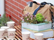 Kaninchen_Dachshund_c2-9