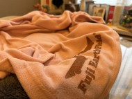 Kaninchen_Dachshund_y_168