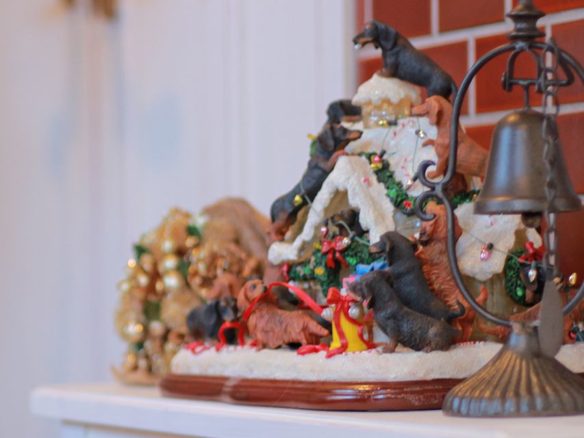 ミニチュアダックスフンド ミスト&デンゼルAUST. CHの子犬 ブラタン 男の子(1)Miniature-Dachshund1060 ミニチュアダックスフンド ミスト&デンゼルAUST. CHの子犬 ブラタン 男の子(1)