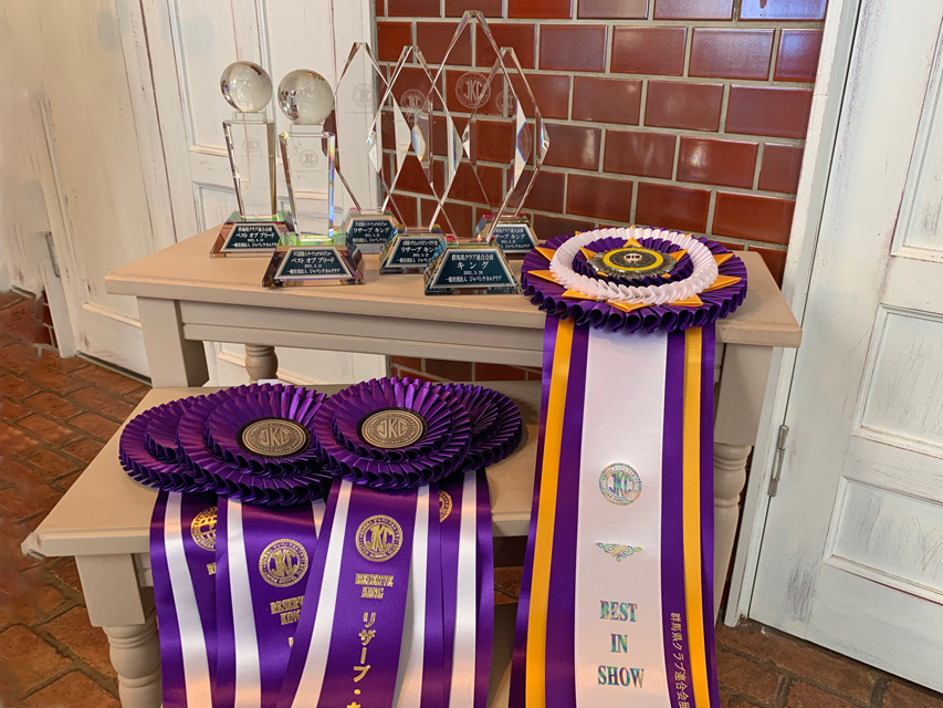 ミニチュアダックス まも〜る、ここ2週間の成績