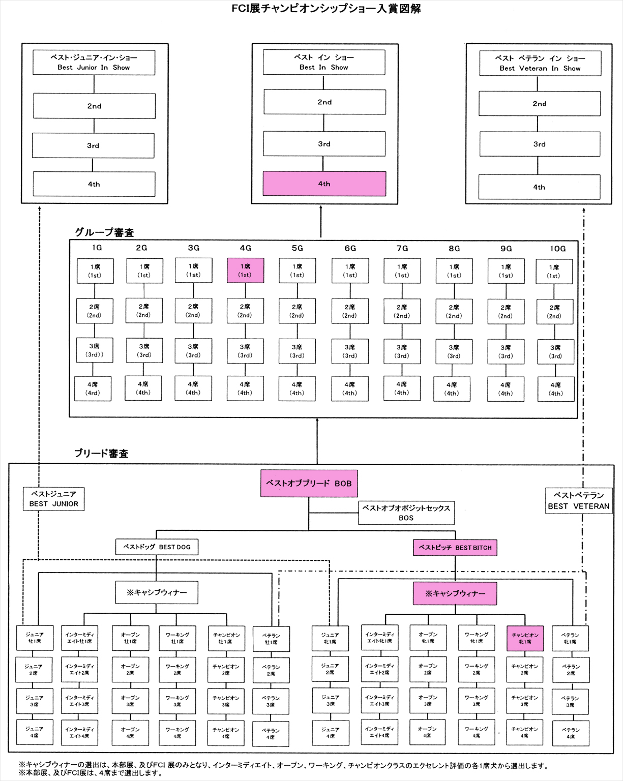 ミニチュア ダックスフンド 【ドッグショー】ルーシー　Best In Show 4th