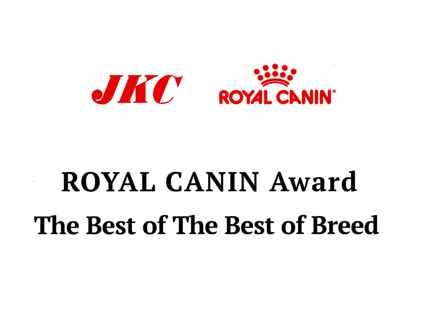 2021ロイヤルカナンアワード授賞式 まもる