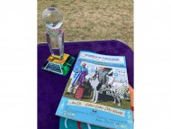 Miniature-Dachshund2