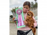 Miniature-Dachshund23