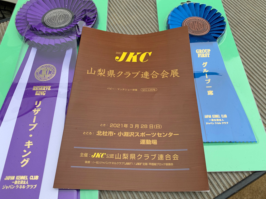 【ドッグショー】ミニチュアダックスフンド まも〜る リザーブキング 【ドッグショー】ミニチュアダックスフンド まも〜る リザーブキング