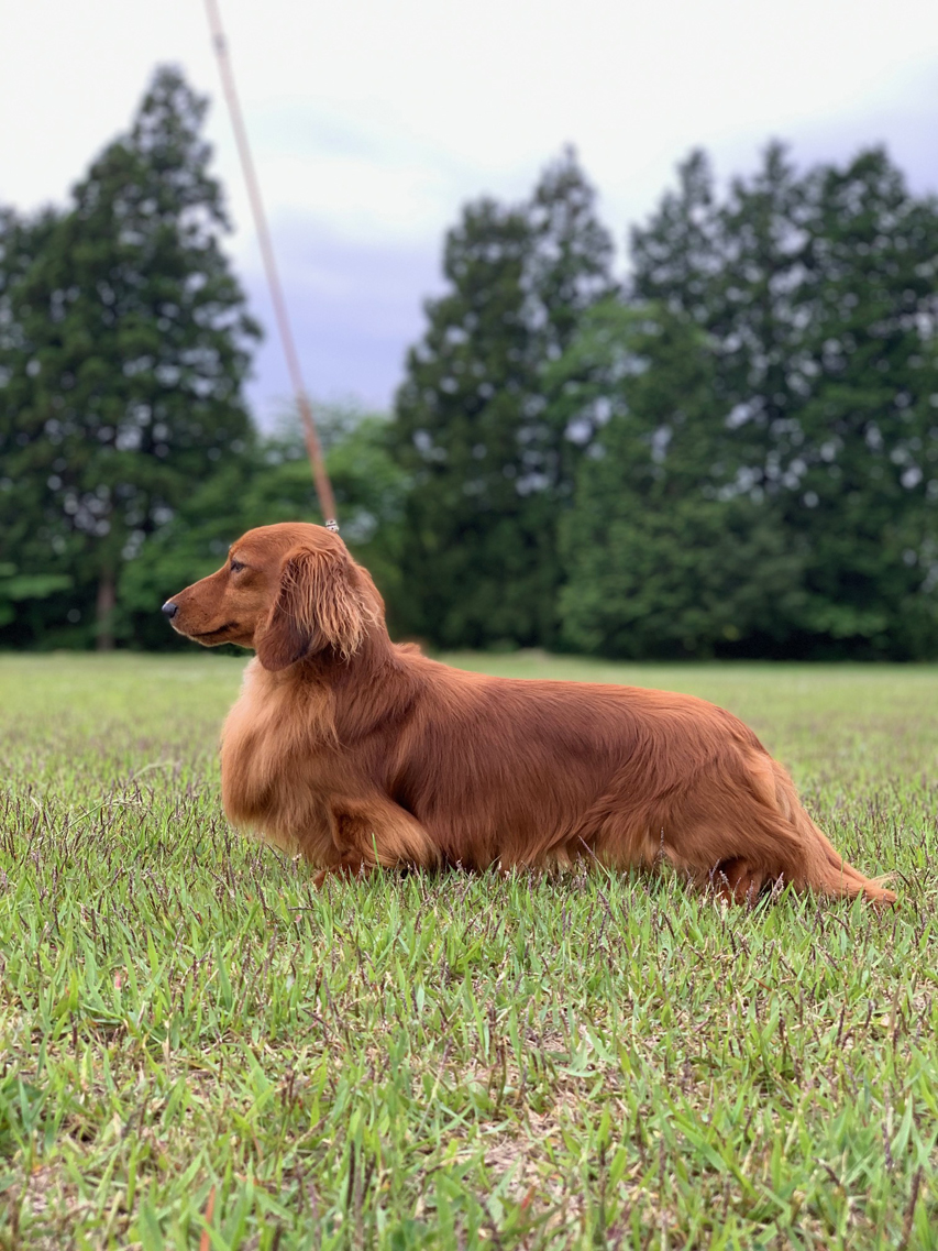 2021ロイヤルカナンアワード授賞式