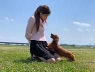 Miniature-Dachshund33