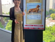 Miniature-Dachshund3328