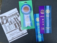 Miniature-Dachshund3717