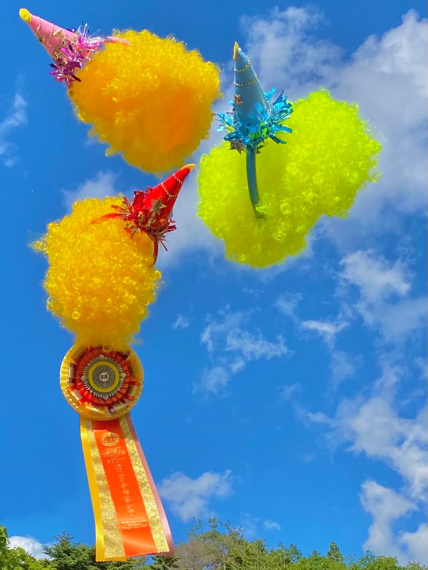 【ドッグショー】タンポポズMiniature-Dachshund3721 【ドッグショー】タンポポズ