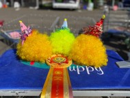 Miniature-Dachshund3722