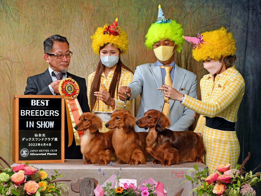 【ドッグショー】タンポポズ 【ドッグショー】タンポポズ