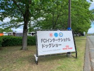 Miniature-Dachshund888