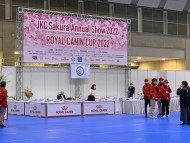 Miniature-Dachshund_2097 Miniature-Dachshund_2097