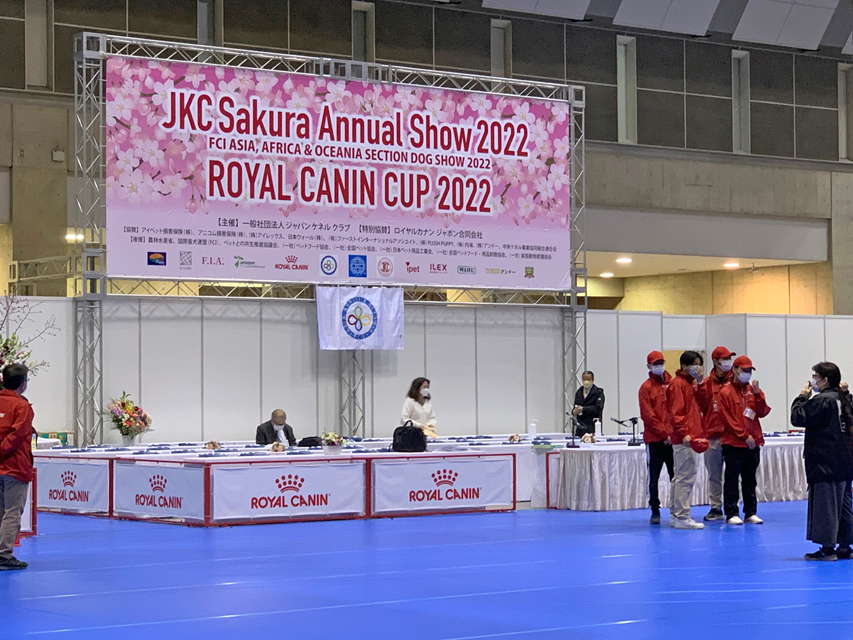 【ドッグショー】まもる ベストインショー シュープリームドック完成