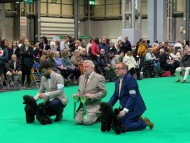 Miniature_Dachshund_7730 Miniature_Dachshund_7730