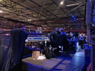 Miniature_Dachshund_7738