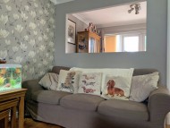 Miniature_Dachshund_7812 Miniature_Dachshund_7812