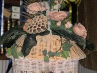 Miniature_Dachshund_7825