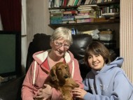 Miniature_Dachshund_7836