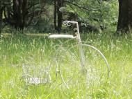 Miniature_Dachshund_9938