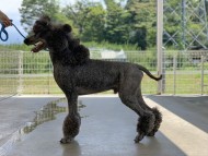 S__109330473 S__109330473