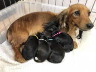 S__13869078 S__13869078