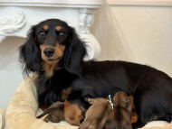 S__14802981_0 S__14802981_0