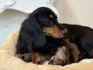 S__14802983_0 S__14802983_0