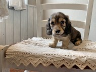 S__68780070 S__68780070