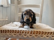 S__68780087 S__68780087