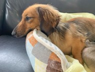 S__8519690 S__8519690