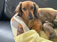 S__8519692 S__8519692