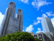 東京都のお客様へカニンヘン子犬のご案内