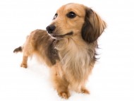 04ジャン_J9A5944-Edit