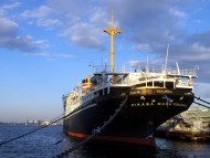 神奈川県のお客様へカニンヘン子犬のご案内 神奈川県のお客様へカニンヘン子犬のご案内