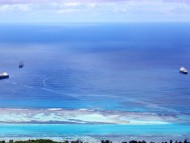 香川県のお客様へカニンヘン子犬のご案内