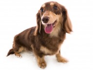 08アン_J9A6055-Edit