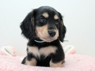 イライ1 イライ1