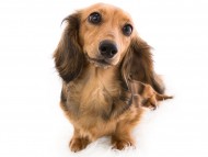 02アンジー_J9A5904-Edit 02アンジー_J9A5904-Edit