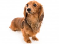 tn05マカナ_K9A1582 tn05マカナ_K9A1582