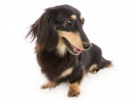 tnHPカイラ_E5A1952