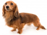 tn05マカナ_K9A1592 tn05マカナ_K9A1592