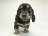 1月子ブラクリ男1-6 1月子ブラクリ男1-6