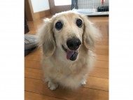 写真 2017-08-02 12 36 14